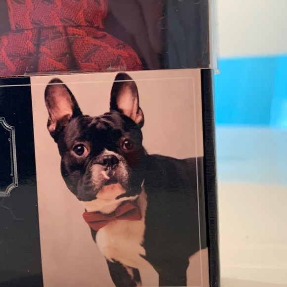 📦 MOVING SALE 🚛 Doggie Bow Tie 🎩 for your little gentleman - Picture 7 of 7
